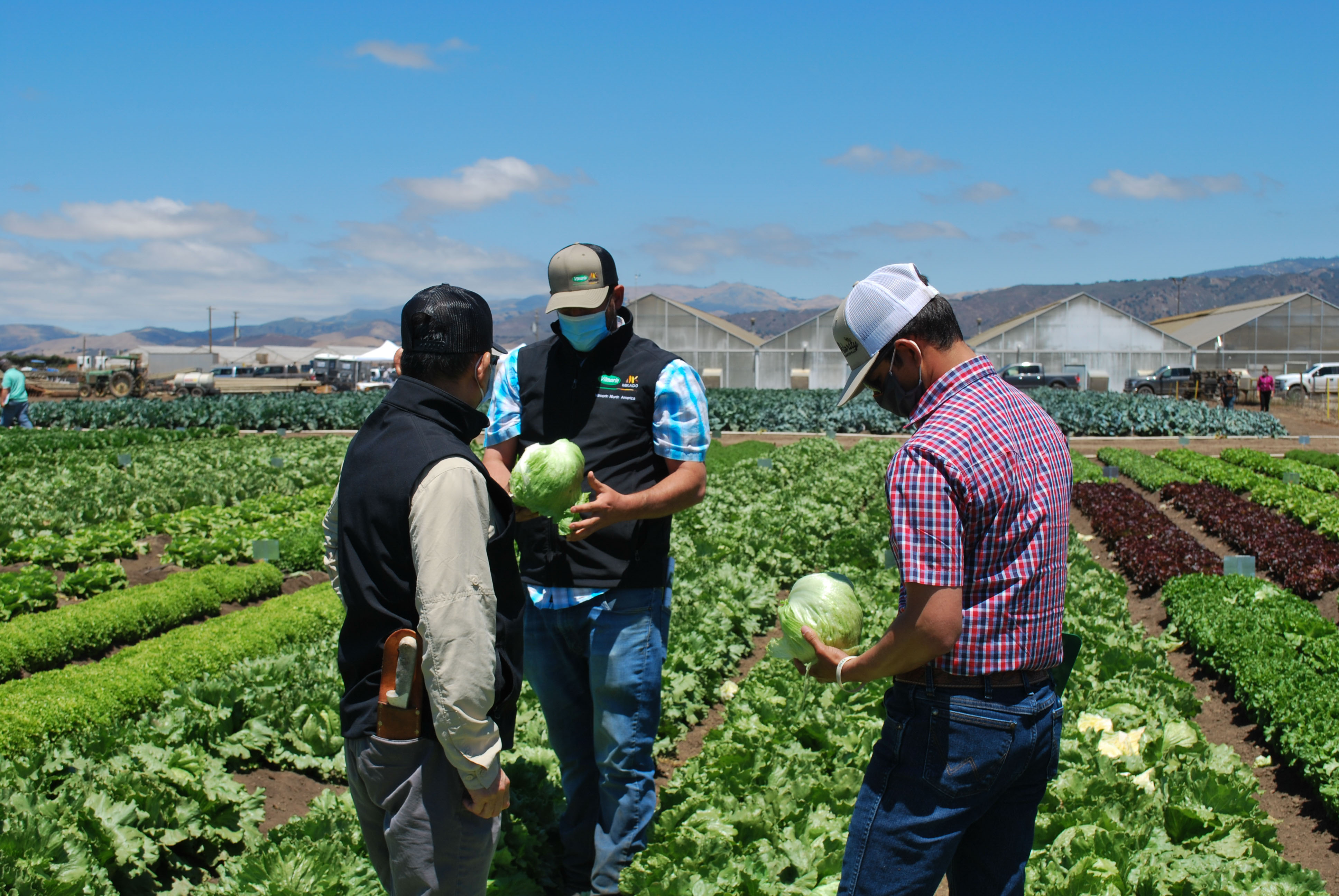 2020 Show Case, Salinas VilmorinMikado USA vegetable seeds